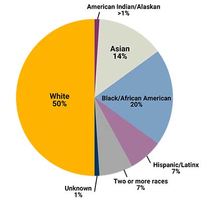 a pie chart illustrating the racial makeup of the v.c.u. school of nursing in fall 2023 - 50 percent are white, 20 percent are black or african american, 7 percent are hispanic or latinx, 7 percent are two or more races, 1 percent are unknown, and less than 1 percent are american indian or alaskan