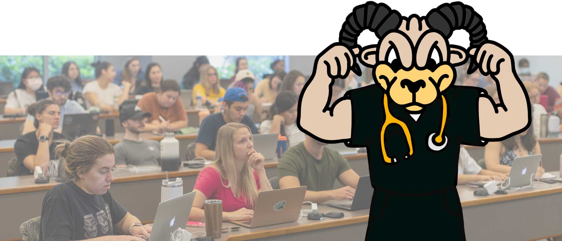 a classroom full of students taking notes in a lecture hall in the background with an illustrated version of the v.c.u. mascot rodney the ram in the foreground wearing scrubs and a stethoscope and flexing his bicep muscles